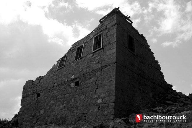 Bachibouzouck (10)