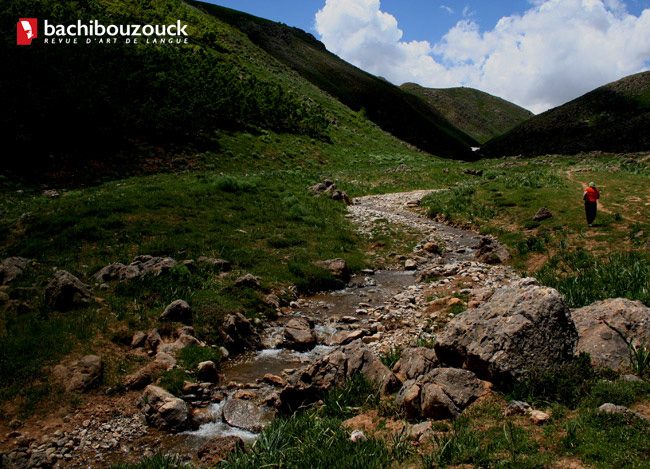 Bachibouzouck (11)